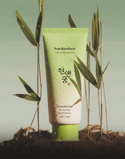 Han&Palace Light Up Returning Cream