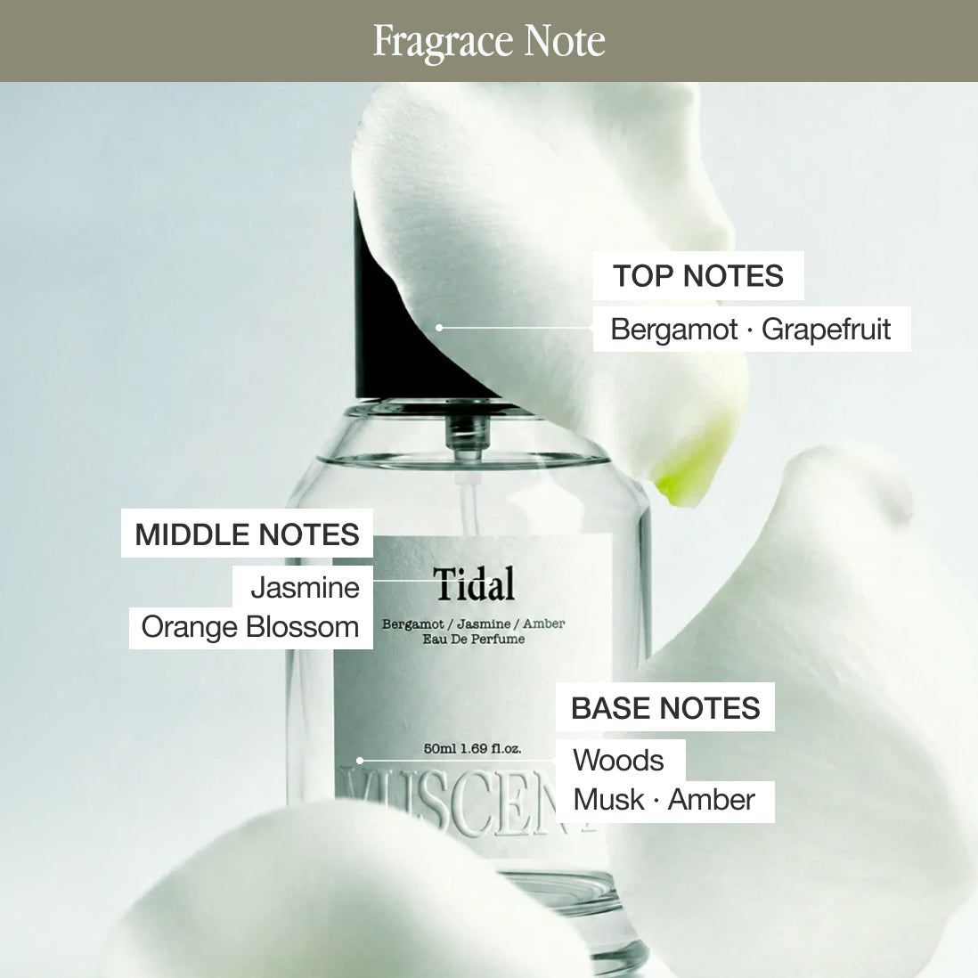 Vuscent Tidal